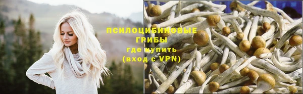 молекула духа Аркадак