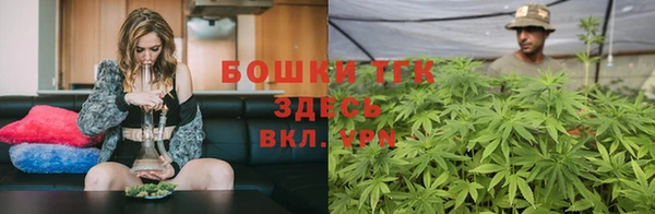 твердый Арсеньев