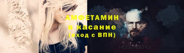 твердый Арсеньев
