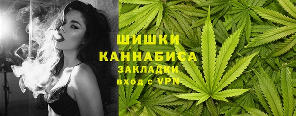 твердый Арсеньев