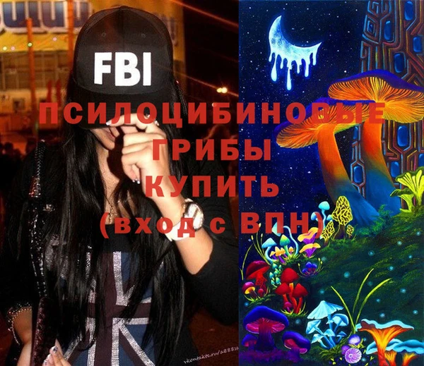 твердый Арсеньев
