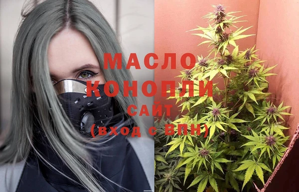 твердый Арсеньев