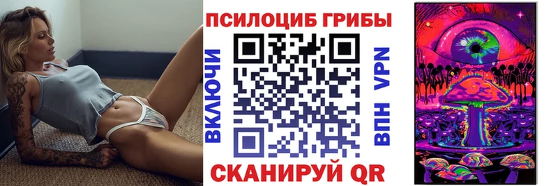 mega зеркало  где продают   Магадан  Галлюциногенные грибы Cubensis 