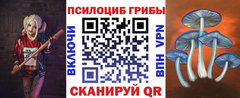 Псилоцибиновые грибы Psilocybine cubensis Магадан